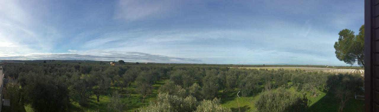 Farm Agriturismo Masseria Chiusurella Villa Corato Buitenkant foto
